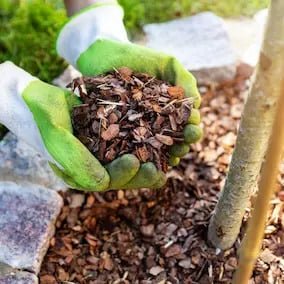 NeuroPrime Ingredients